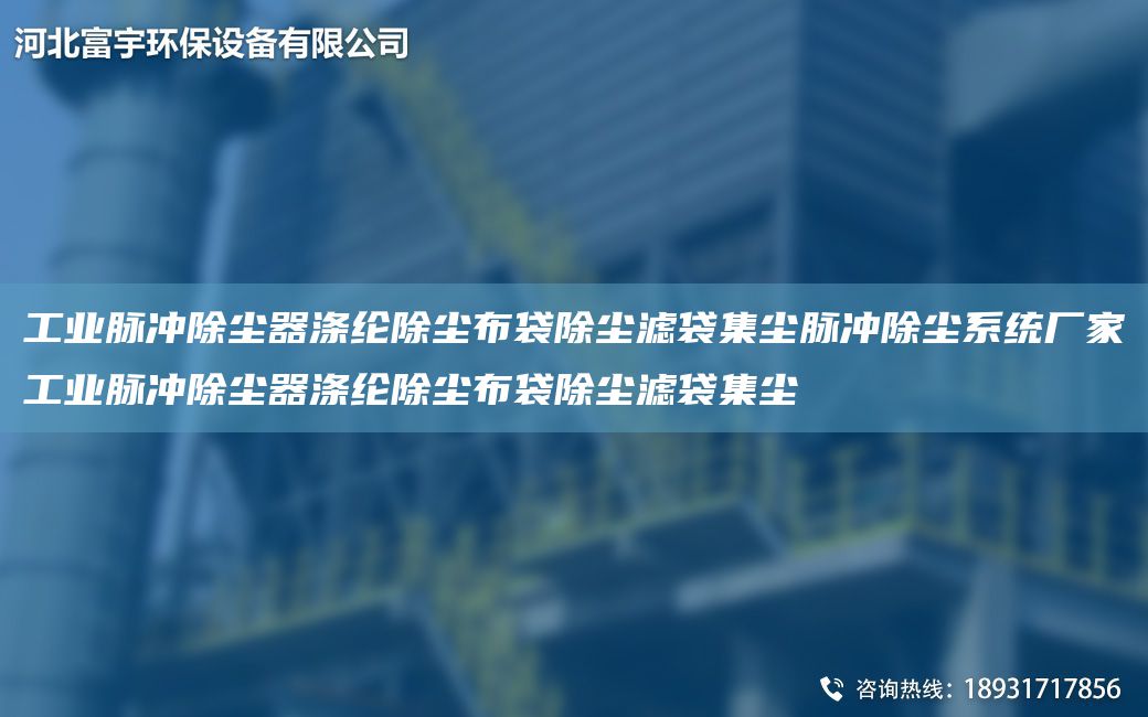 工業(yè)脈沖除塵器滌綸除塵布袋除塵濾袋集塵脈沖除塵系統廠(chǎng)家工業(yè)脈沖除塵器滌綸除塵布袋除塵濾袋集塵