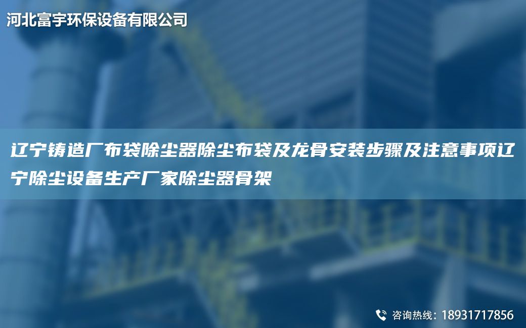 遼寧鑄造廠(chǎng)布袋除塵器除塵布袋及龍骨安裝步驟及注意事項遼寧除塵設備生產(chǎn)廠(chǎng)家除塵器骨架