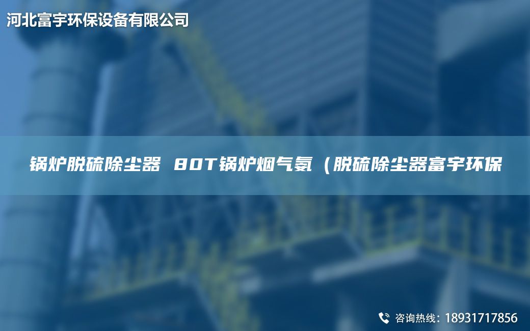 鍋爐脫硫除塵器 80T鍋爐煙氣氨（脫硫除塵器富宇環(huán)保