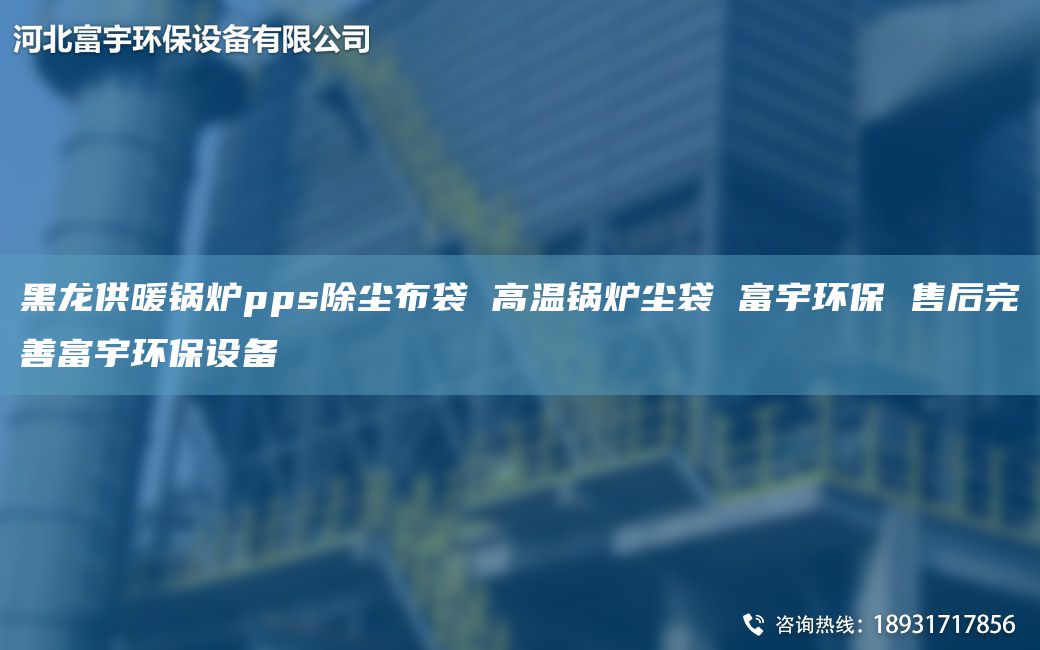 黑龍供暖鍋爐pps除塵布袋 高溫鍋爐塵袋 富宇環(huán)保 售后完善富宇環(huán)保設(shè)備