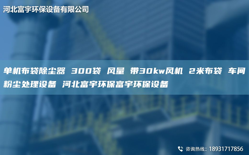 單機(jī)布袋除塵器 300袋 風(fēng)量 帶30kw風(fēng)機(jī) 2米布袋 車(chē)間粉塵處理設(shè)備 河北富宇環(huán)保富宇環(huán)保設(shè)備