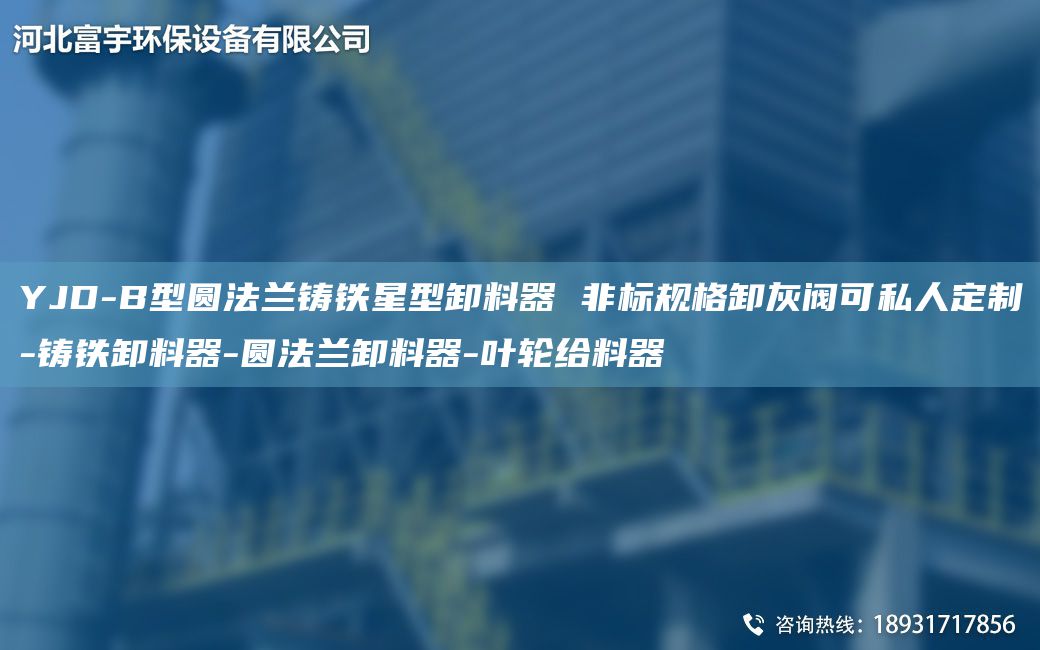 YJD-B型圓法蘭鑄鐵星型卸料器 非標(biāo)規(guī)格卸灰閥可私人定制-鑄鐵卸料器-圓法蘭卸料器-葉輪給料器
