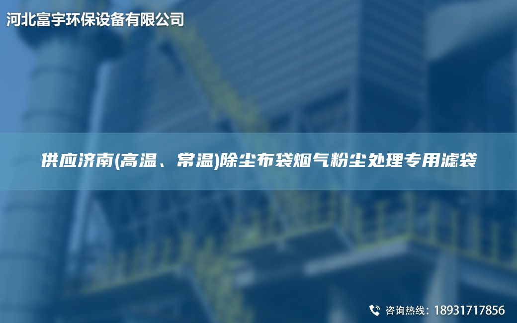供應(yīng)濟(jì)南(高溫、常溫)除塵布袋煙氣粉塵處理專用濾袋