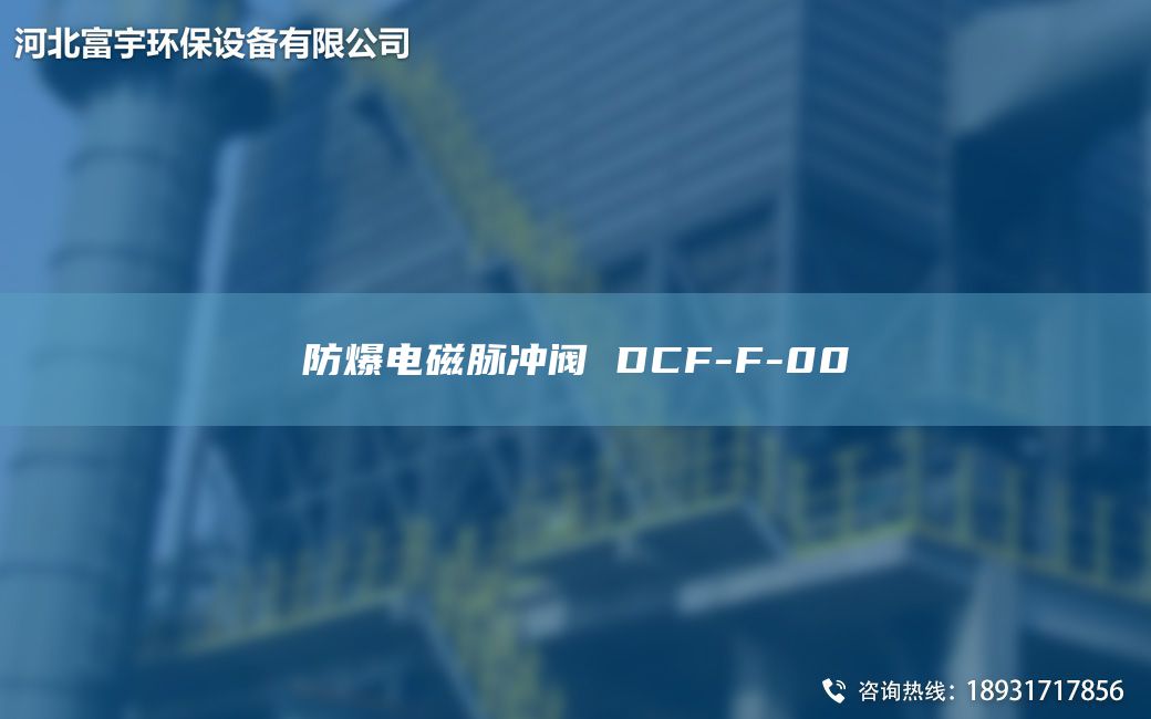 防爆電磁脈沖閥 DCF-F-00